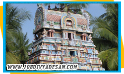Navagraha Tour Packages